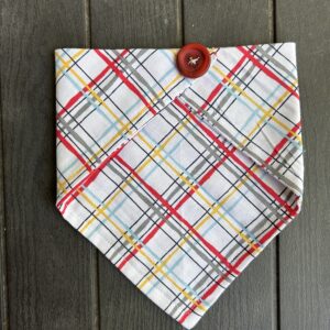 Colored stripes - 10”